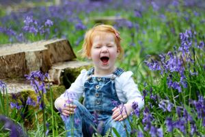 Child laughing portrait in bluebells