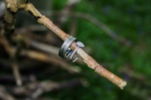Engagement rings resting on a twig