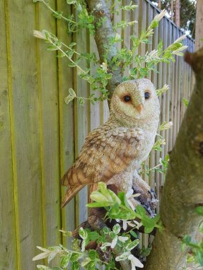 Image of a fake owl in a tree